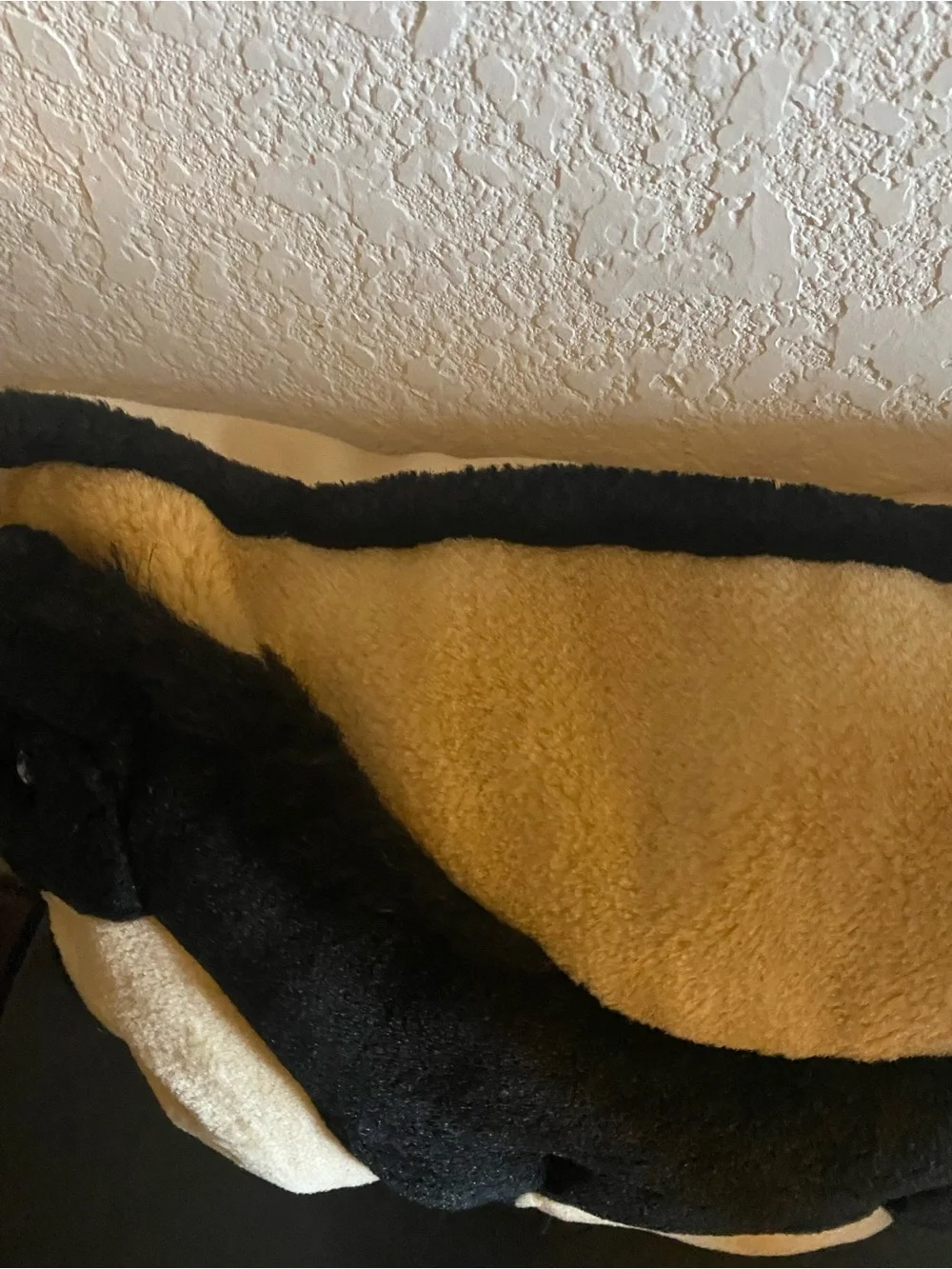 Horse Appliqué Equestrian 3D   Tan Black Trim Plush 14x12 Western Throw Pillow
